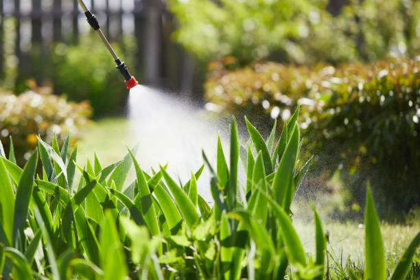 24/7 Emergency Cockroach Control experts in Acton, CA