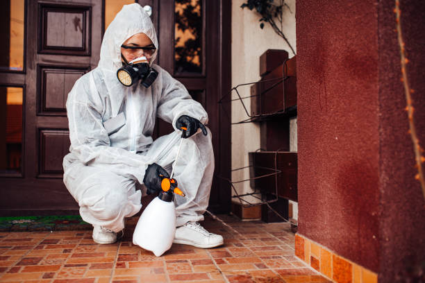 Reliable Cockroach Control contractor in Acton, CA by Nex Pest Control